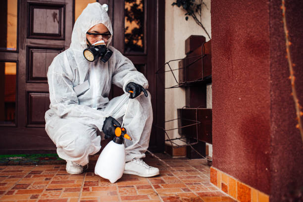 Reliable Bed Bug Control contractor in Novi, MI by Nex Pest Control