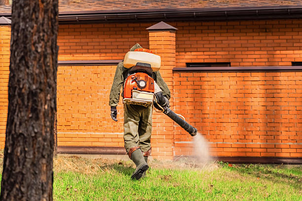 Top rated local Bed Bug Control specialists in Novi, MI